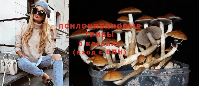 Псилоцибиновые грибы Psilocybe  купить наркотик  Вуктыл 