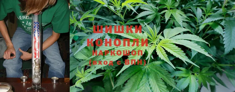 Конопля Ganja  Вуктыл 